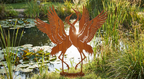 'The Wetland Waltz' Dancing Cranes