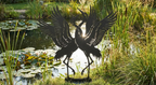 'The Wetland Waltz' Dancing Cranes
