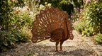 Flatpack Garden Peacock - Image 8 - Sunburnt Steel