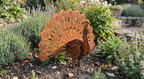 Flatpack Garden Peacock - Image 7 - Sunburnt Steel