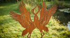 'The Wetland Waltz' Dancing Cranes