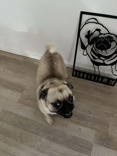 Jayden M. - Brisbane, QLD