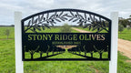 'The Olive Grove' Orchard Sign