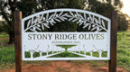 'The Olive Grove' Orchard Sign