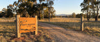 'The Woolly Jumper' Alpaca Farm Sign